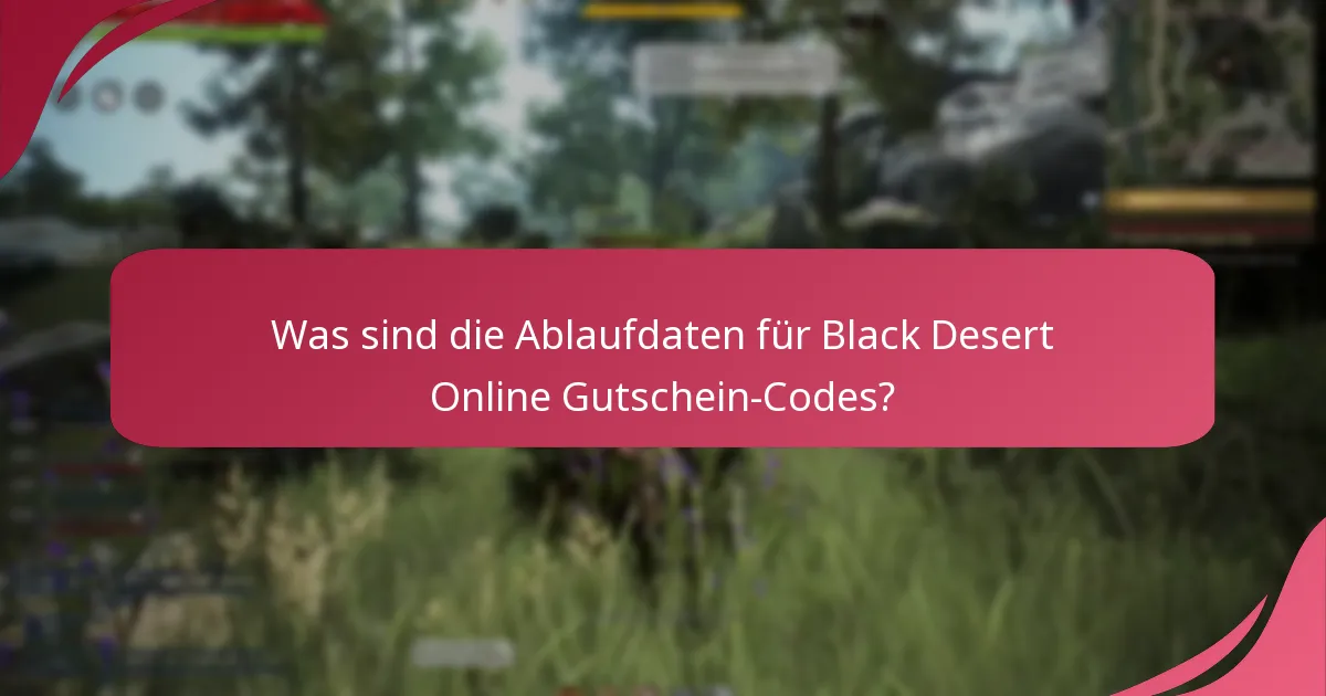 Auf welche Item-Typen können Black Desert Online Gutschein-Codes angewendet werden?