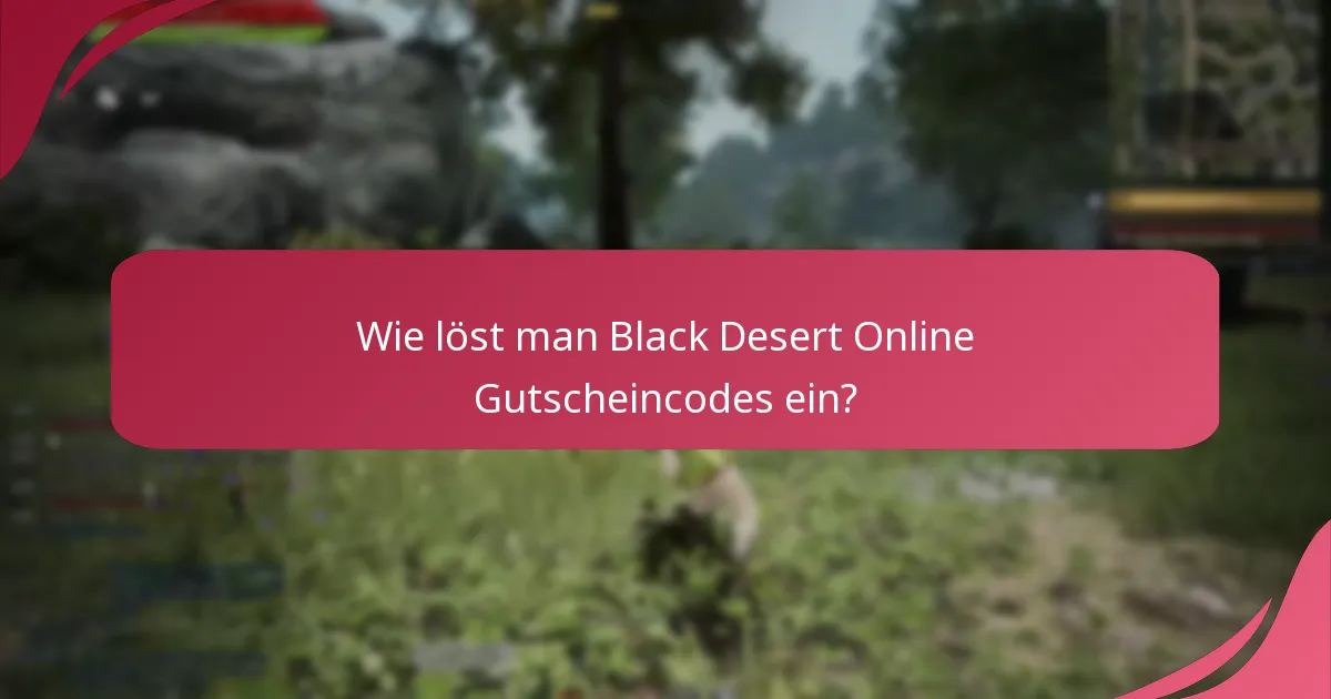 Auf welche Gegenstände können Black Desert Online Gutscheincodes angewendet werden?